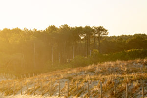 Gaspars-Larsonneur-New-Plans_07