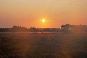 J-irai-dormir-chez-moi_07