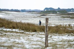 BOCAZH_Gaspard_Larsonneur_12